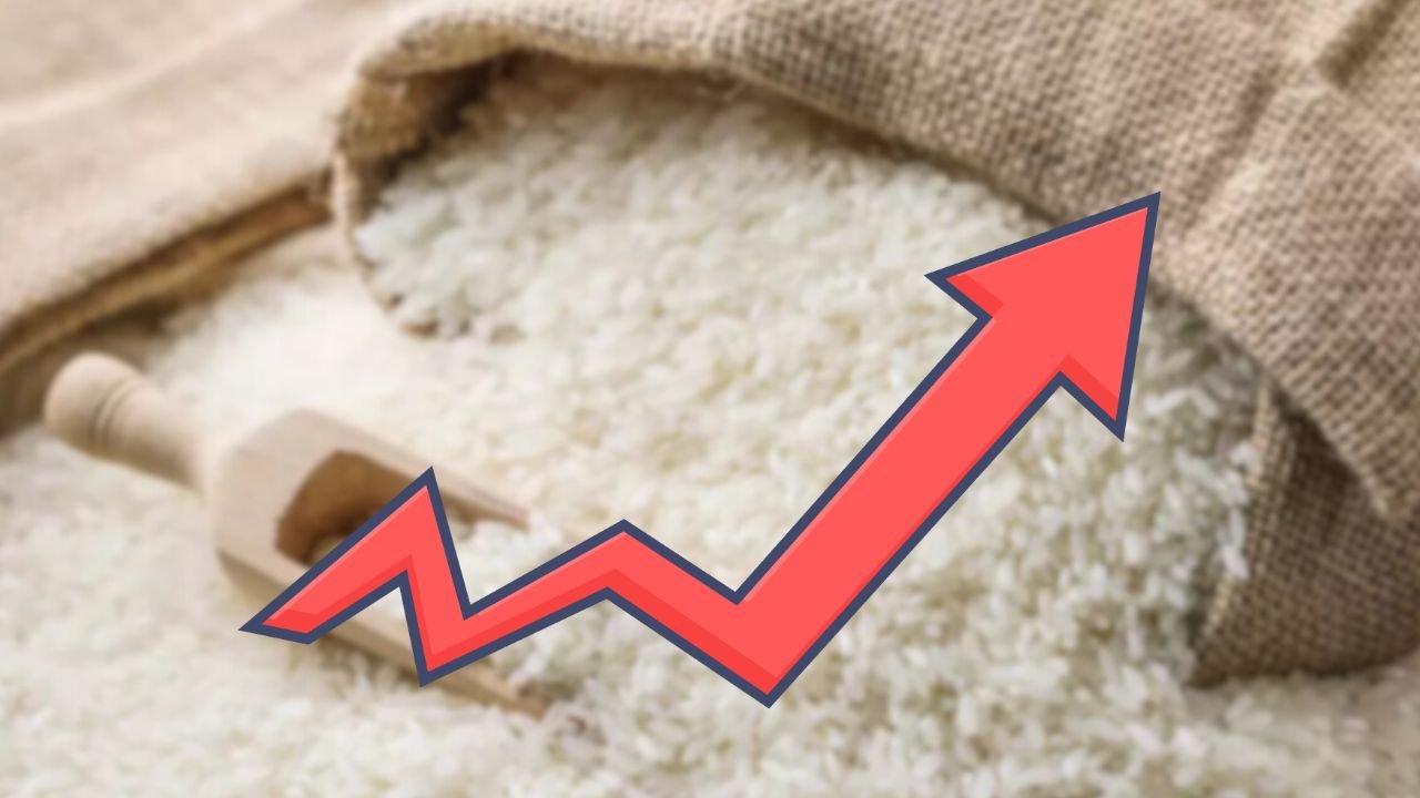 Rice Price Surge in Aman Season: A Struggle for Consumers