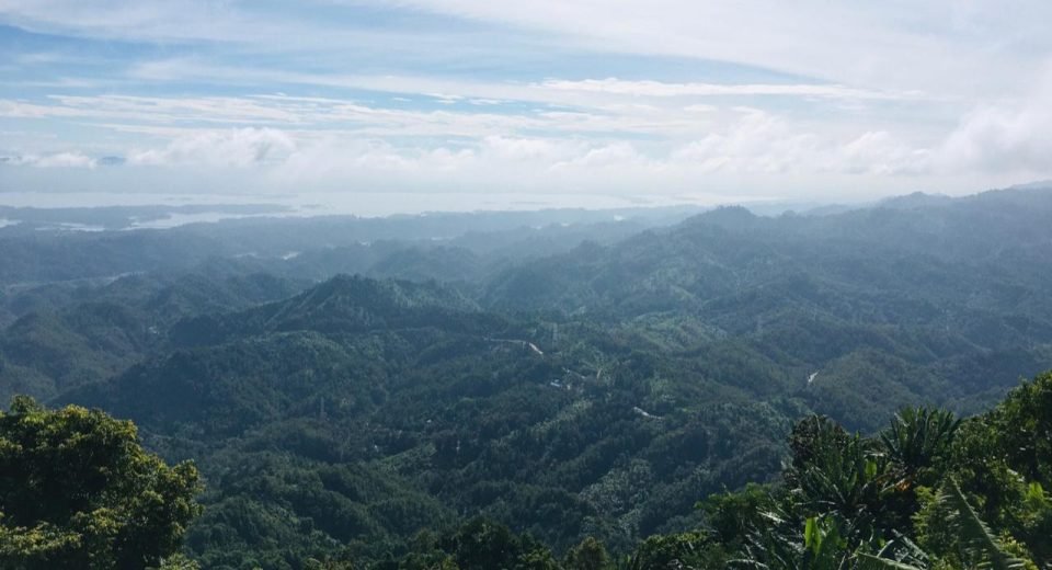 Furomown Hill, Bangladesh: A Breathtaking Natural Escape