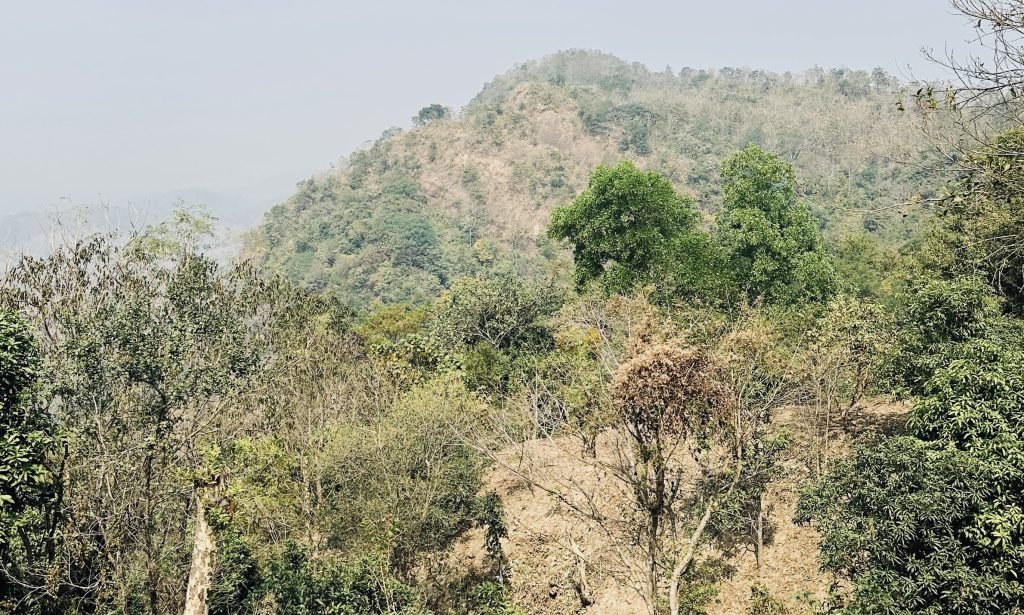 Chandranath Hill: A Must-Visit Natural Wonder in Bangladesh