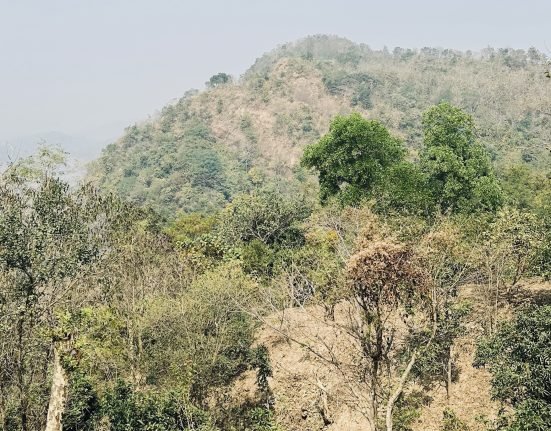 Chandranath Hill: A Must-Visit Natural Wonder in Bangladesh