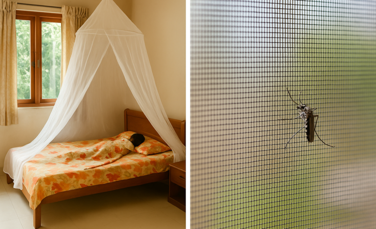 Dengue Prevention Tips for Every Bangladeshi Household