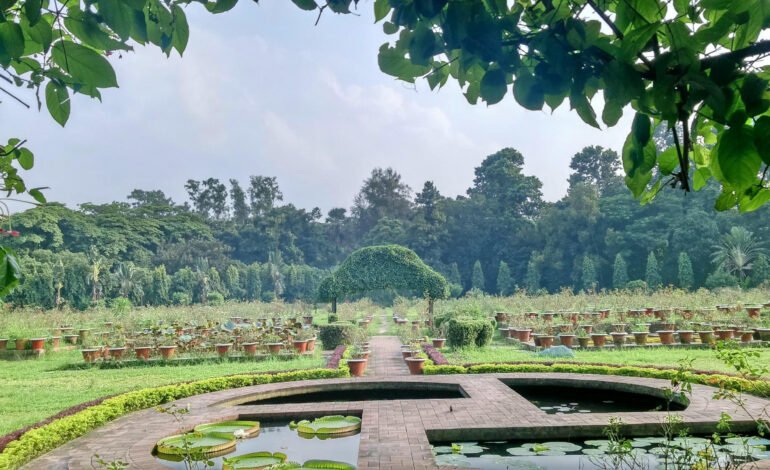 Bangladesh National Botanical Garden: A Green Sanctuary Shaping Conservation and Climate Awareness