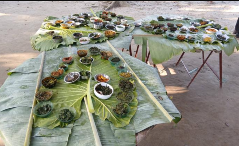 Thakurgaon Celebrates Shak Pitari Festival With Culture, Cuisine and Community