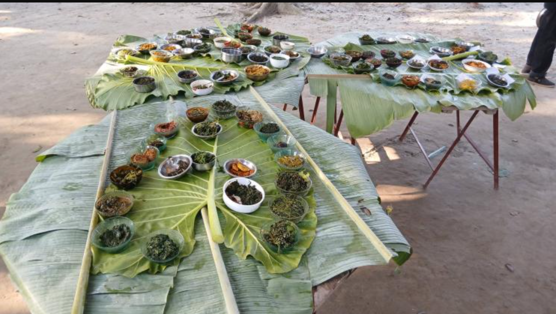 Thakurgaon Celebrates Shak Pitari Festival With Culture, Cuisine and Community